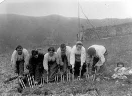 TAREAS PENDIENTES EN EL ABORDAJE DE LAS DROGODEPENDENCIAS   ( Iñaki Barrutia Arregi  2003)